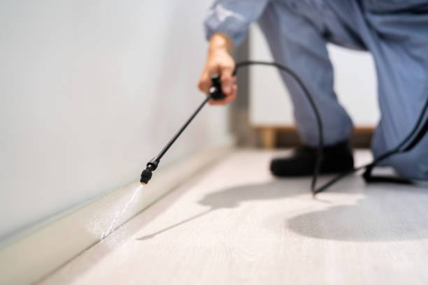 Professional exterminator conducting IPM assessment in Karns